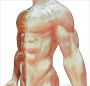How to Get Strong and How to Stay So [Illustrated]