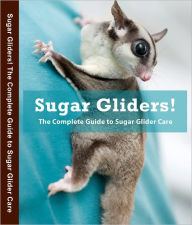 Title: Sugar Gliders! The Complete Guide to Sugar Glider Care, Author: James Green