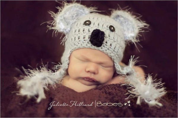 Baby koala bear-
