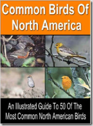 Title: Common Birds Of North America, Author: Lou Diamond