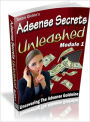 Adsense Secrets Unleashed Module 1