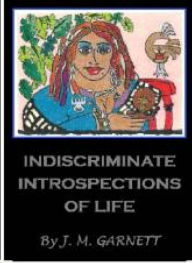 Title: Indiscriminate Introspections, Author: Jacqueline Garnett