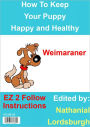 How To Keep Your Weimaraner Happy and Healthy