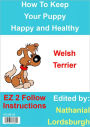 How To Keep Your Welsh Terrier Happy and Healthy