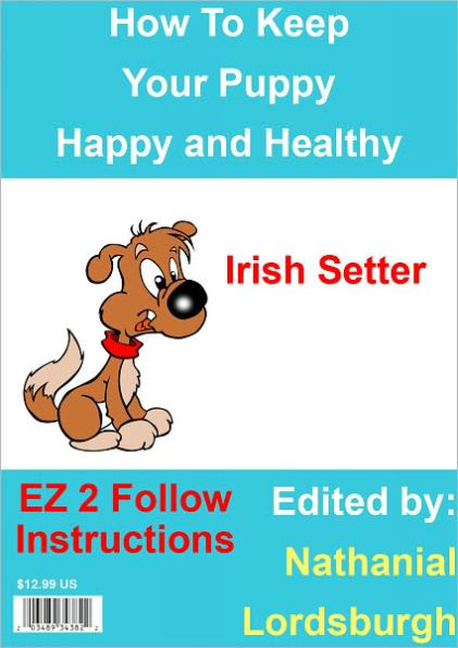 How To Keep Your Irish Setter Happy and Healthy