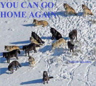 Title: YOU CAN GO HOME AGAIN, Author: Ethelle Gladden