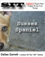 How To Train Your Sussex Spaniel To Do Fun Tricks