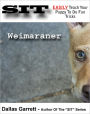 How To Train Your Weimaraner To Do Fun Trick