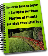 Title: Discover the Simple and Easy Way of Caring For Your Lawn- Photos of Plants-How to Build A Waterfall and More, Author: Charles Paulson