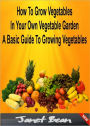 How To Grow Vegetables In Your Own Vegetable Garden A Basic Guide To Growing Vegetables