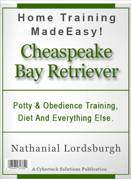 Potty And Obedience Training, Diet And Everything Else For Your Chesapeake Bay Retriever