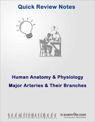 Title: Human Anatomy & Physiology: Major Arteries and Their Branches, Author: Smith