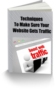 Title: Techniques to Make Sure Your Website Gets Traffic, Author: David Gibson