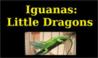 Title: Iguanas:Little Dragons That Make Great Family Pets!!, Author: Timothy Dutton