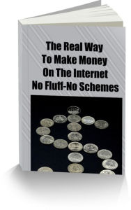 Title: The Real Way To Make Money on the Internet, Author: Sandy Hall