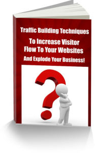 Title: Traffic Building Techniques To Increase Visitor Flow to Your Websites and Explode Your Business!, Author: Larry Young