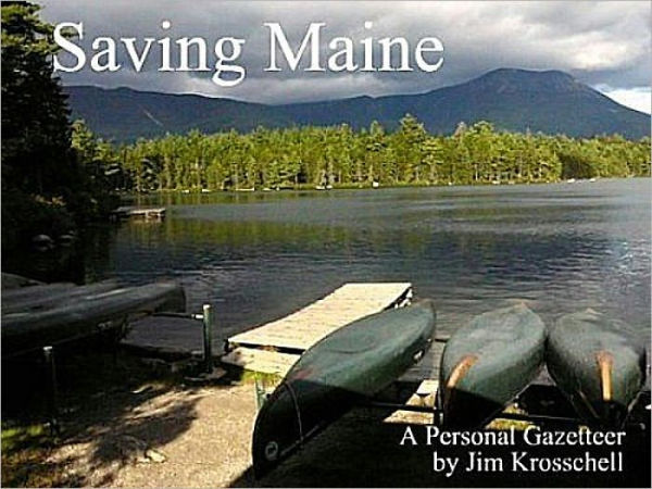 Saving Maine: A Personal Gazetteer