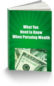 Title: What You Need To Know When Pursuing Wealth, Author: Sandy Hall