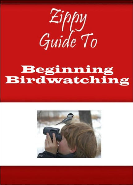 Zippy Guide To Beginning Birdwatching