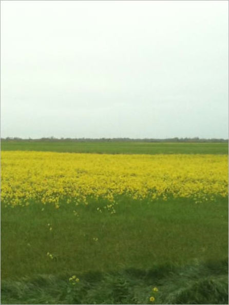 Popular Haitian Childrens Choruses, Lullaby, Haitian Creole and French Church Hymns, and Other Play Songs : Ala Ou Gran! Ala Ou Gran! How great thou art! How great thou art!