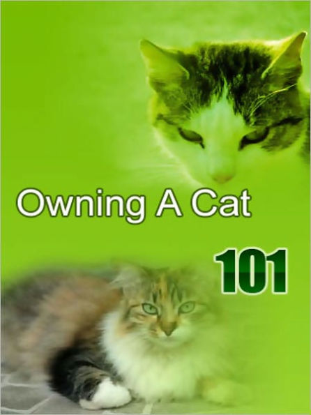 Owning A Cat 101