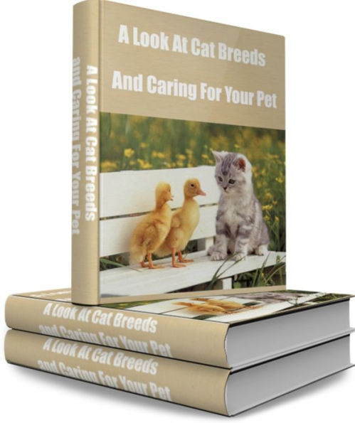 A Look At Cat Breeds and Caring For Your Pet