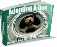 Title: Adopting A Dog The Secrets To A Successful Adoption!, Author: Sandy Hall