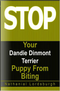 Title: Keep Your Dandie Dinmont Terrier From Biting, Author: Nathanial Lordsburgh