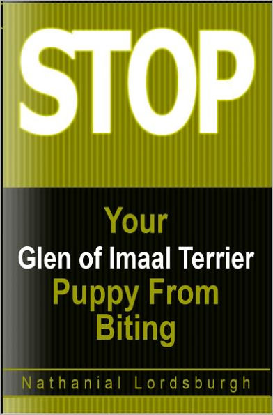 Keep Your Glen of Imaal Terrier From Biting