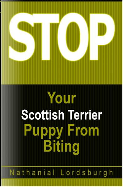 Keep Your Scottish Terrier From Biting