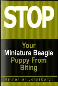 Title: Keep Your Miniature Beagle From Biting, Author: Nathanial Lordsburgh