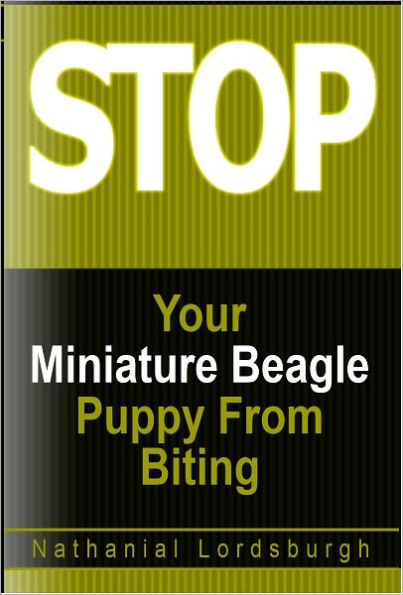 Keep Your Miniature Beagle From Biting