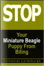 Keep Your Miniature Beagle From Biting