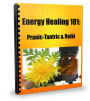 Energy Healing 101: Pranic, Tantric, and Reiki