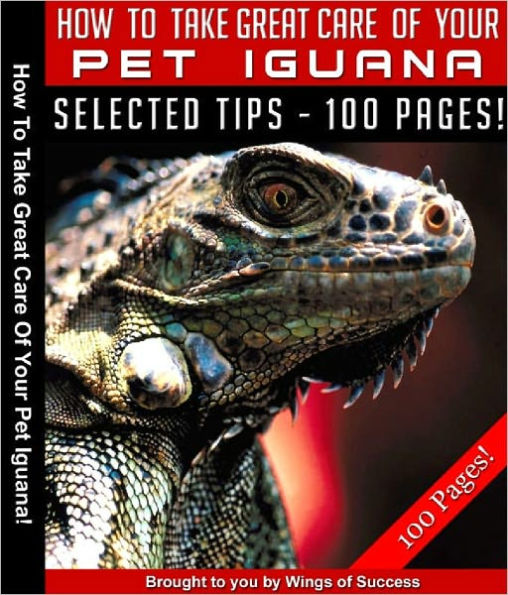 How To Take Great Care Of Your Pet Iguana