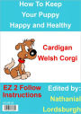 How To Keep Your Cardigan Welsh Corgi Happy and Healthy