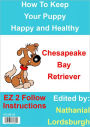 How To Keep Your Chesapeake Bay Retriever Happy and Healthy