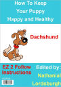 How To Keep Your Dachshund Happy and Healthy