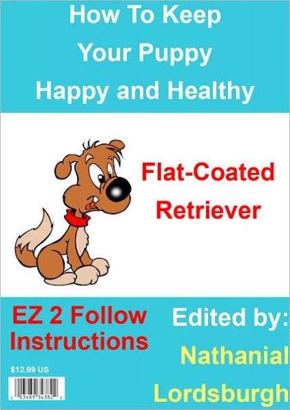 How To Keep Your Flat-Coated Retriever Happy and Healthy