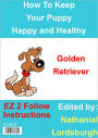 How To Keep Your Golden Retriever Happy and Healthy