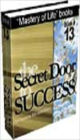 THE SECRET DOOR TO SUCCESS