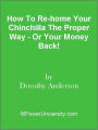 How To Re-home Your Chinchilla The Proper Way - Or Your Money Back!