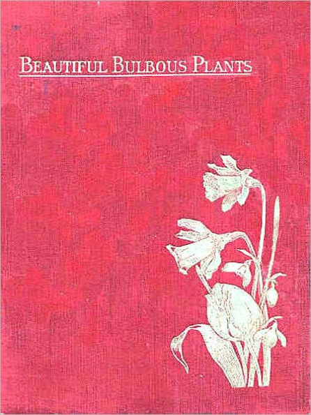 Beautiful Bulbous Plants For the Open Air [Illustrated]