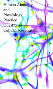 Title: Human Anatomy and Physiology Practice Questions: Cellular Respiration, Author: Dr. Evelyn J. Biluk