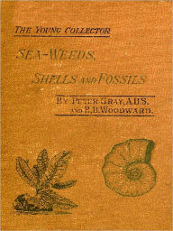 Title: Sea-Weeds, Shells and Fossils [Illustrated], Author: Peter Gray
