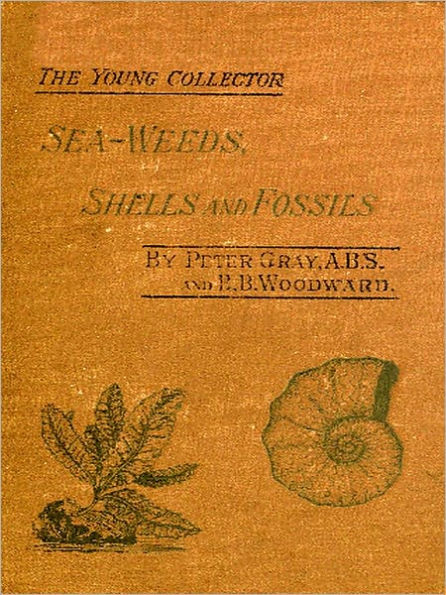 Sea-Weeds, Shells and Fossils [Illustrated]