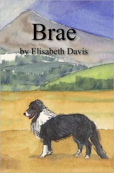 Brae Visits the Isle of Arran