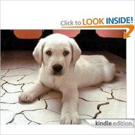 Title: Perfect Handbooks for Imperfect Dog Owners, Author: Irwing