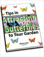 Tips in Attracting Butterflies to Your Garden