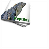 Title: Know More About Reptiles As Pets – Basic Guidelines, Author: Robert I. Cook